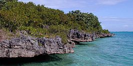 Island mauritius aigretes