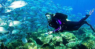 Padi Discover Diving - Initiation Dives - Tamarin