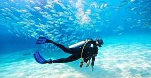 Diving Sessions In The Northern Coast Of Mauritius - Pereybere