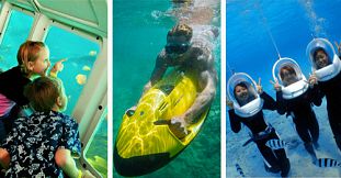 Mauritius Marine Discovery Package