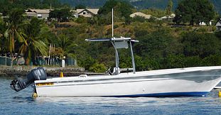 Private Half Day Budget Fishing Trip- West Coast of Mauritius