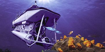 Mauritius Submarine Underwater Trip