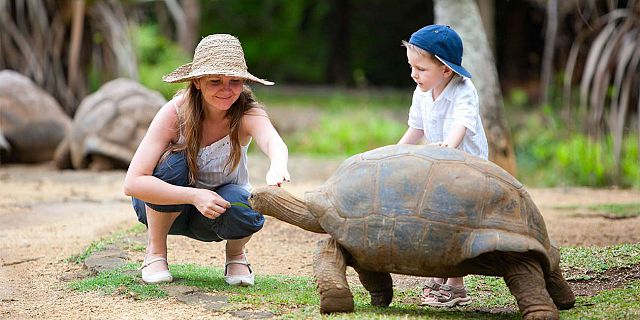 Children play giant tortoises mauritius