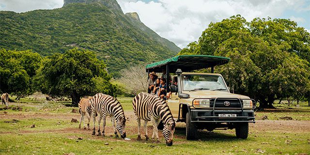 Tailor made casela package 54