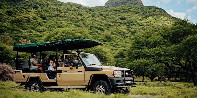 Tailor made casela package 55